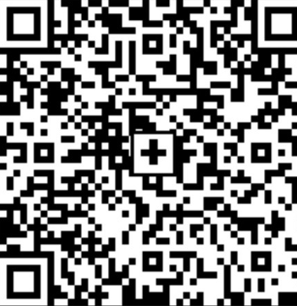 Twint QR-Code Brave Foundation Zürich